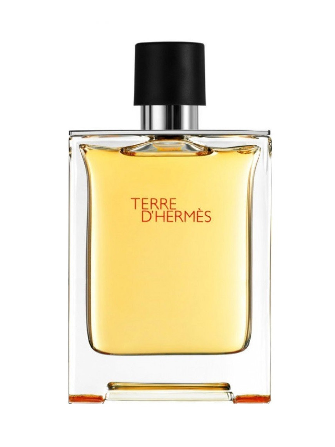 TERRE EDP